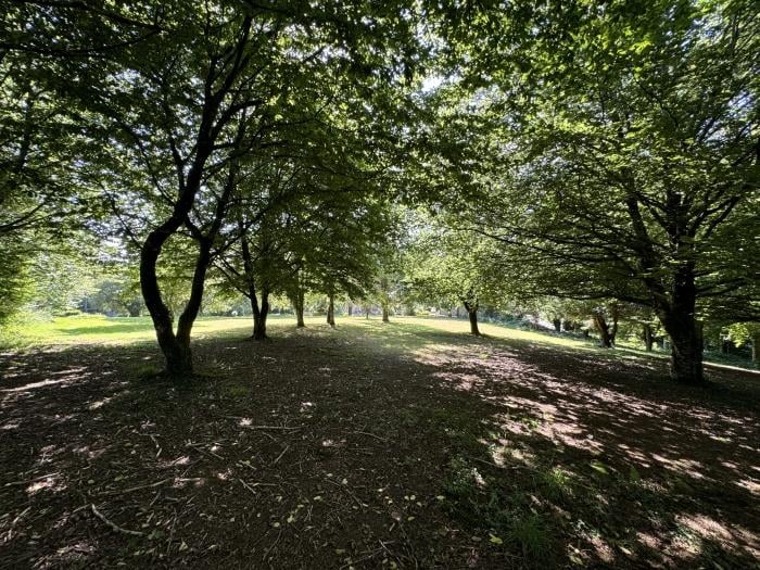 image Moulin du Gast 35pers : logements insolites,jacuzzi sauna billard 40