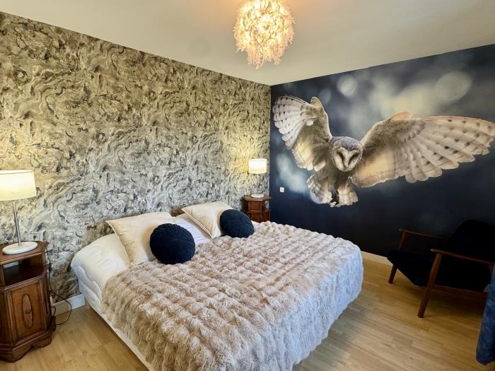 image Chouette et Hibou 30pers 2 Gîtes : jacuzzi billard 13