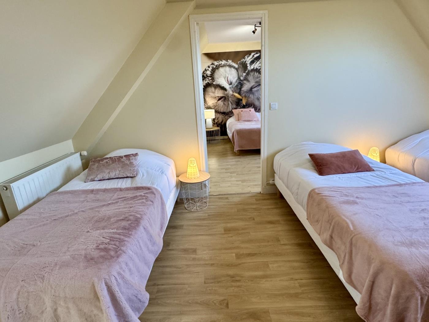 image Chouette et Hibou 30pers 2 Gîtes : jacuzzi billard 16