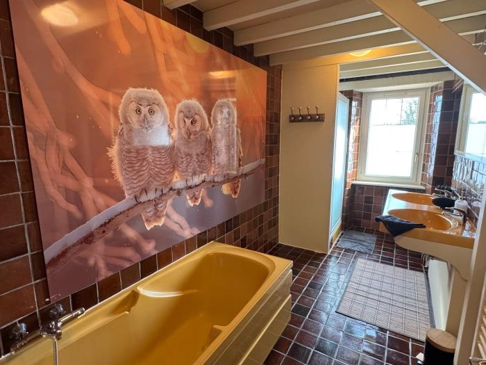 image Chouette et Hibou 30pers 2 Gîtes : jacuzzi billard 30
