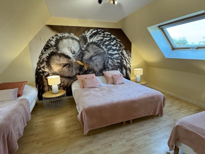 image Chouette et Hibou 30pers 2 Gîtes : jacuzzi billard 7