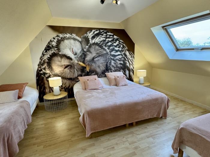 image Chouette et Hibou 30pers 2 Gîtes : jacuzzi billard 7