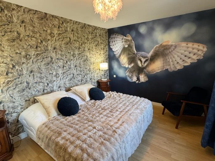 image Chouette et Hibou 30pers 2 Gîtes : jacuzzi billard 9