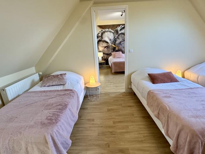 image Hibou 15 pers : jacuzzi, billard, baby foot 18