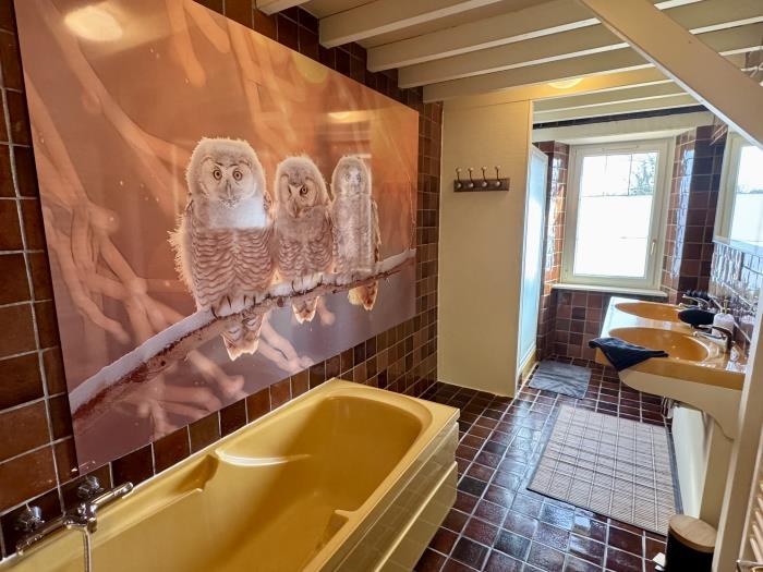 image Hibou 15 pers : jacuzzi, billard, baby foot 33