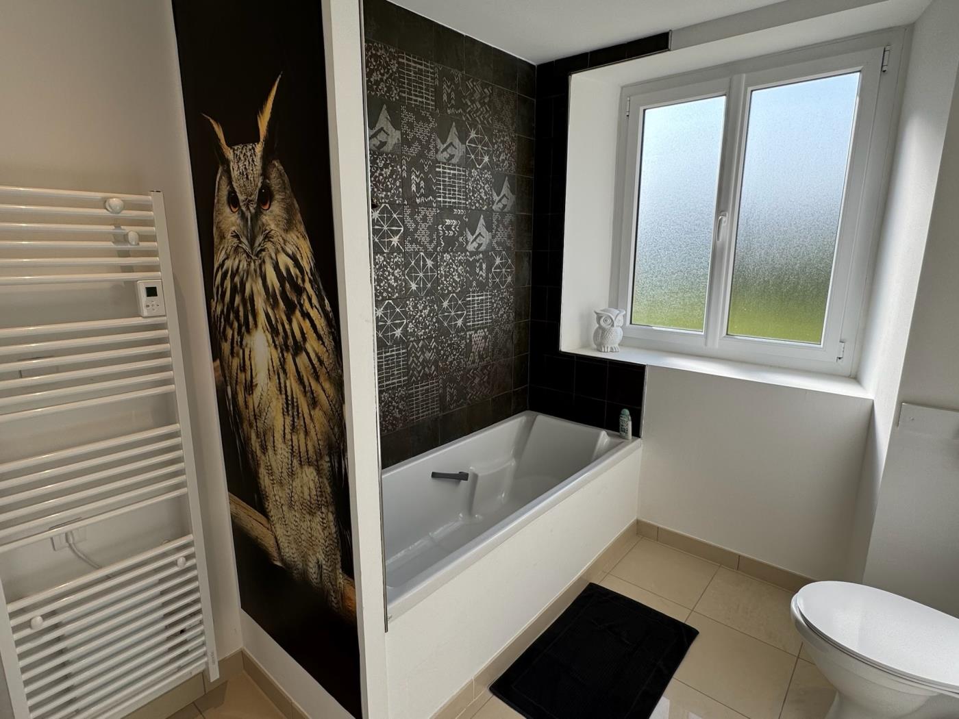 image Chouette 15 pers : jacuzzi 12