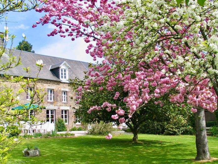image La Longère 1750 30pers Hambye, piscine grand jardin 8