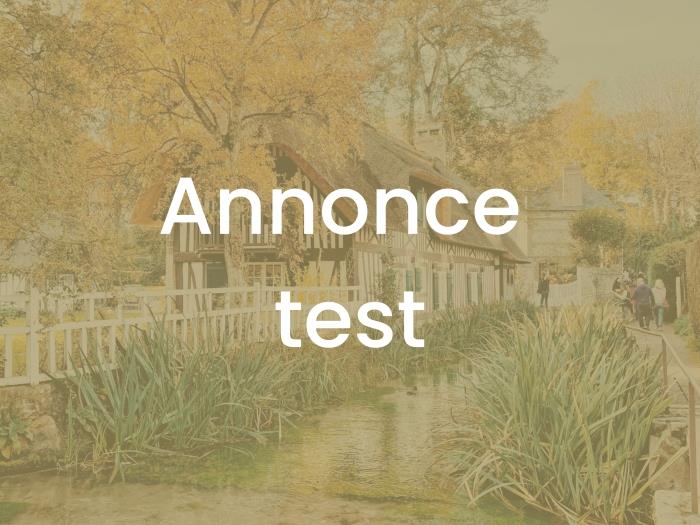 Annonce test : jacuzzi, baby foot, 30 min mer